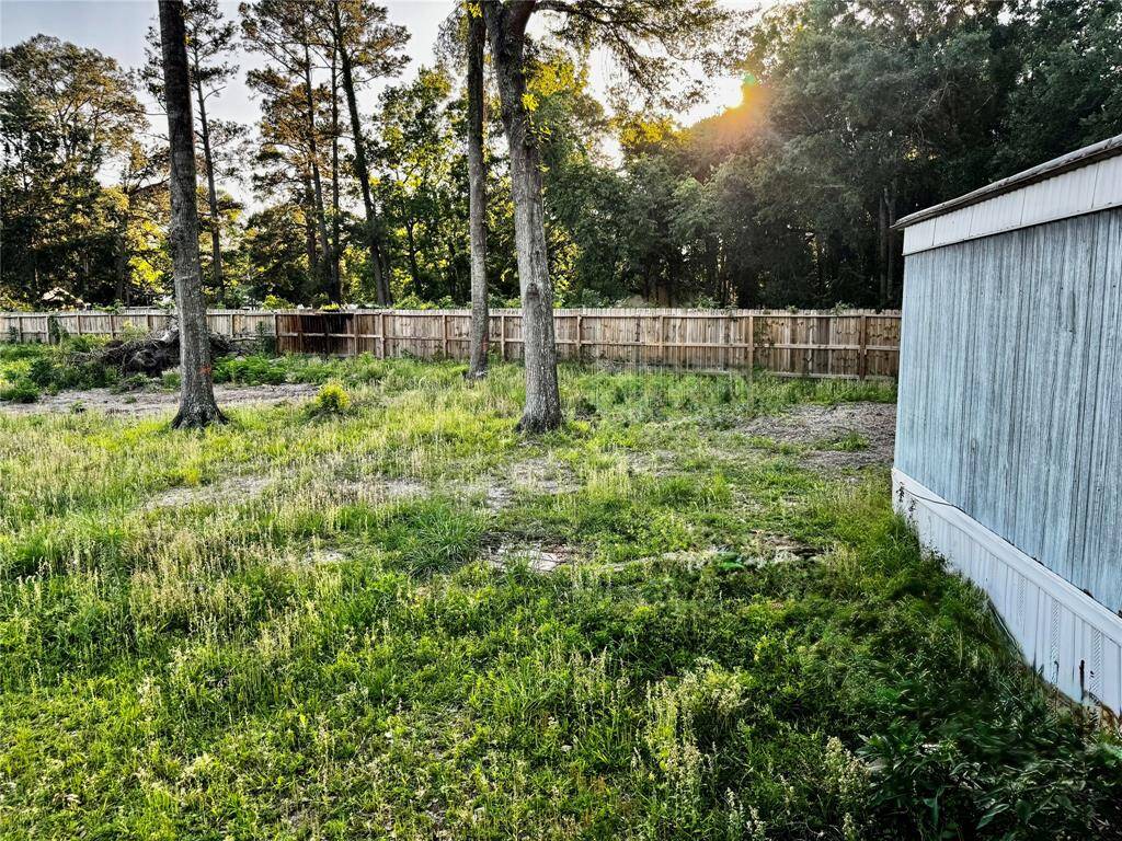 back yard