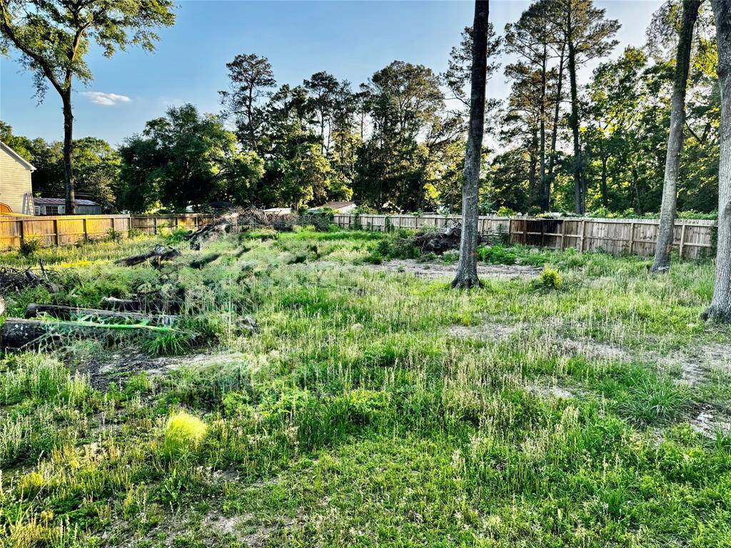 back yard