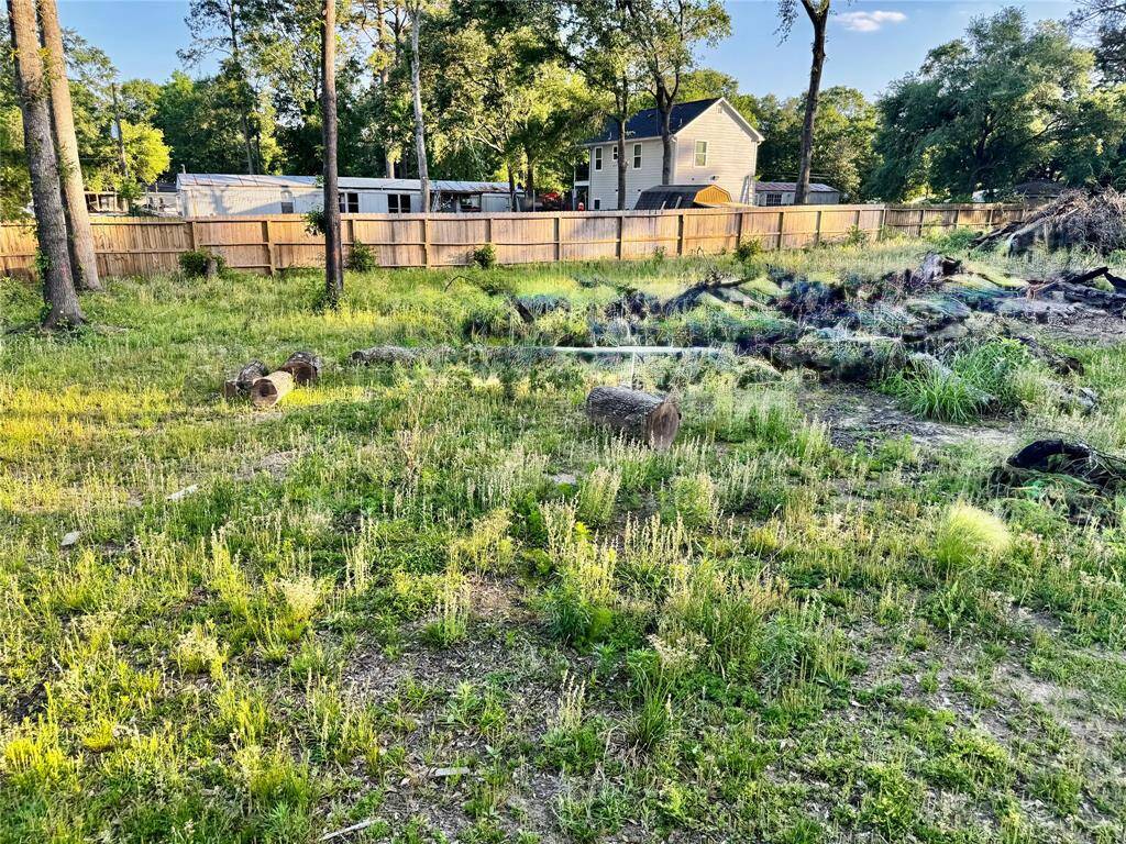 back yard