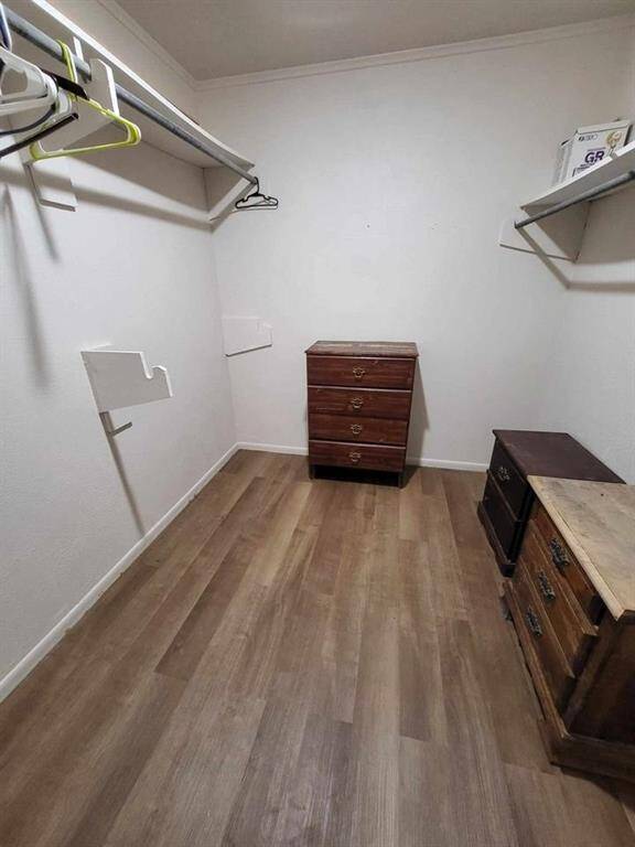 Master suite 2 features large walk-in closet