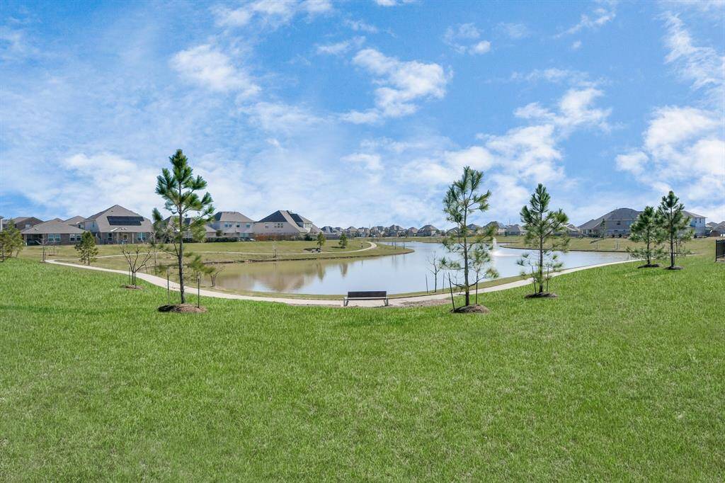 Lakeview view