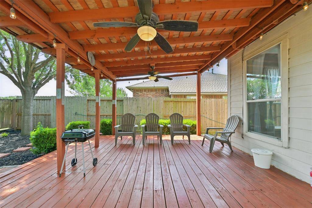 Mature tree near your backyard patio.