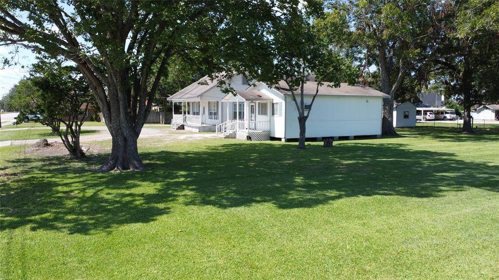 Amazing lush green grass! Lots of room for the kids and fur babies to run and play!