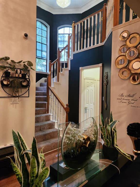 Stairs from Living Room