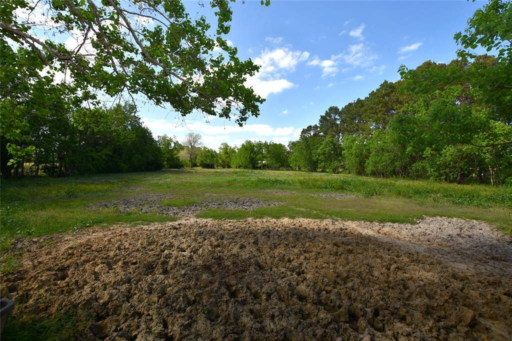 The towering trees provide both privacy and a sense of tranquility, creating a peaceful, wooded setting that feels like your own private sanctuary.