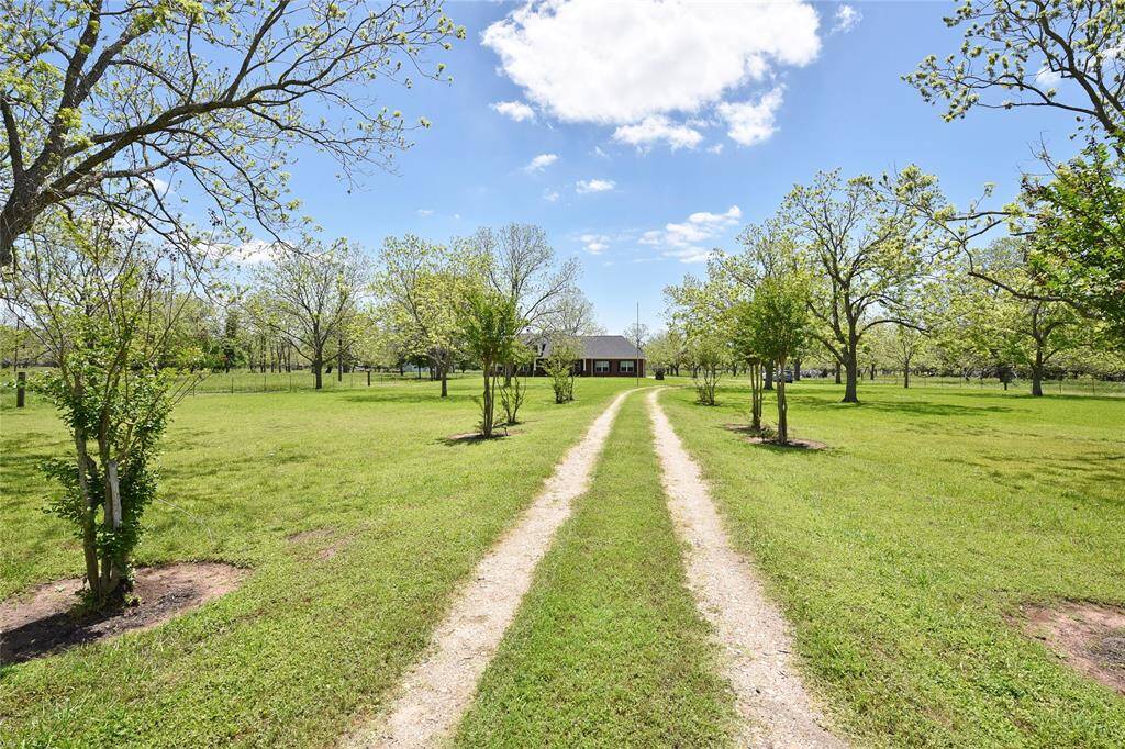 This photo is facing North. You can reach I-10 in 5-10 mins (depends on who's driving ;)) This land is clearly distinguishable by the Pecan trees. Notice the pond on the property.