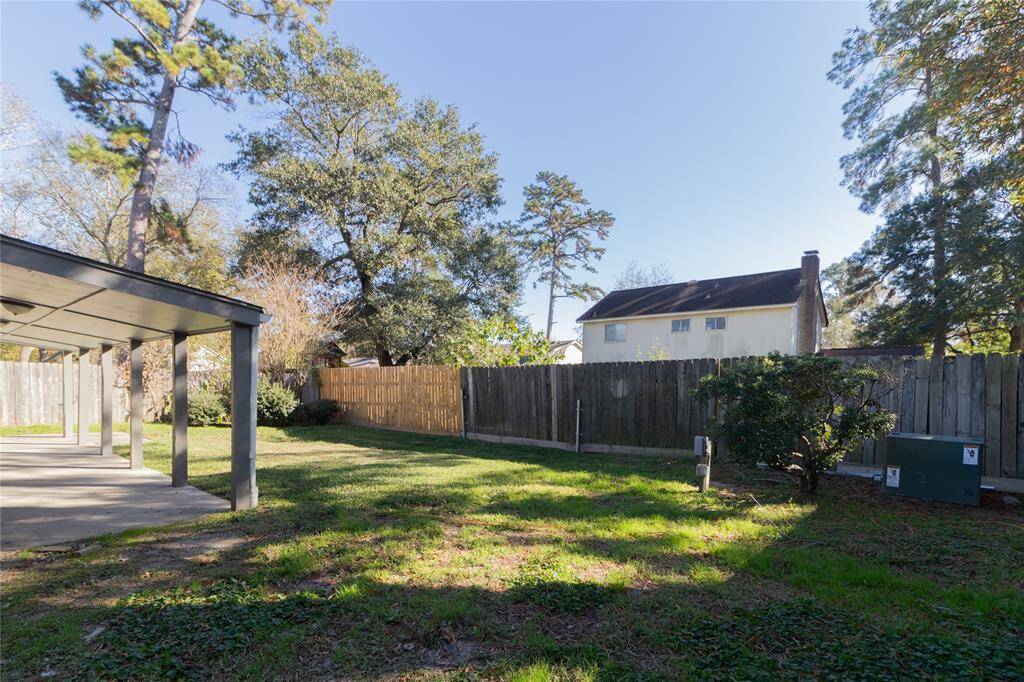 Backyard