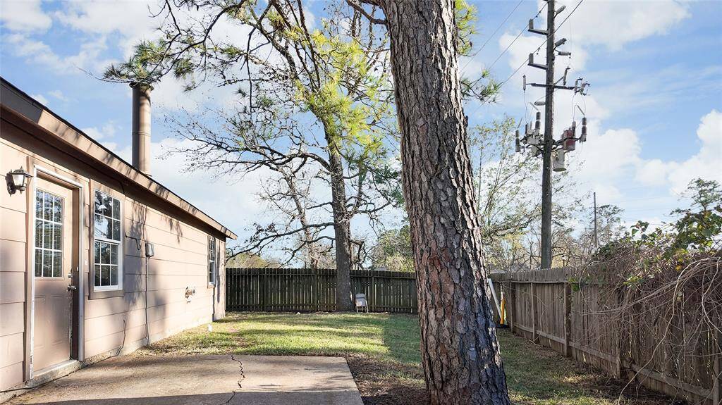 Back yard