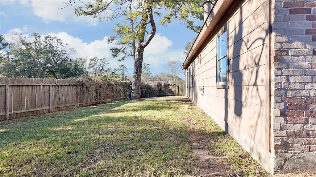 Back yard