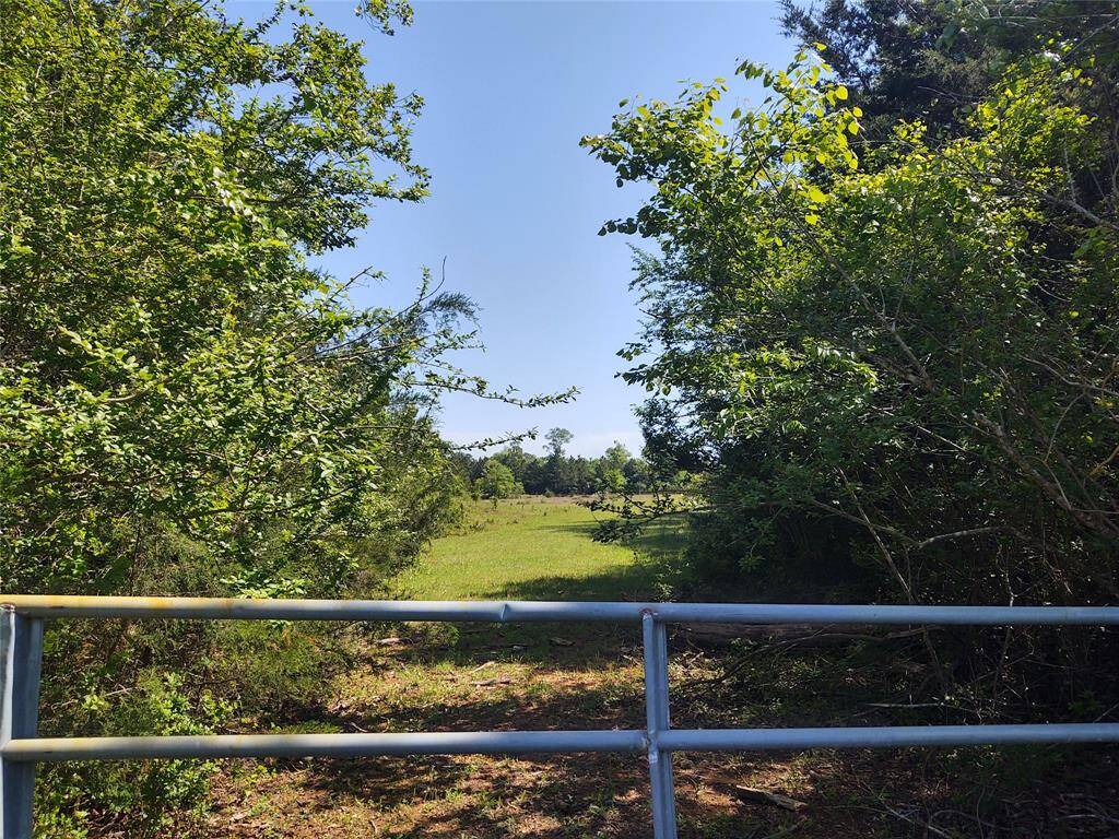 Gate off FM 228