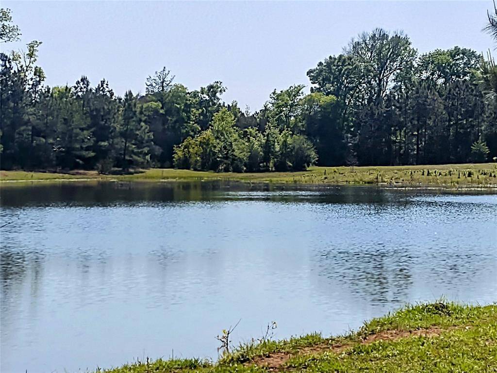 Nice Lake