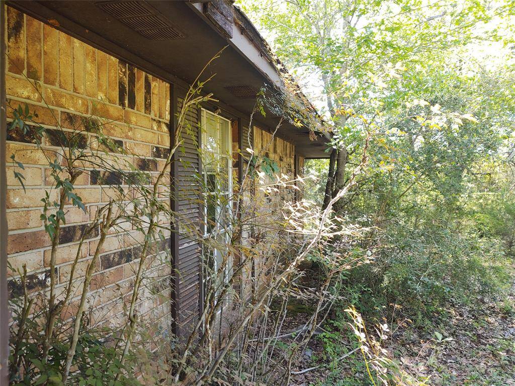 House is grown up around most sides