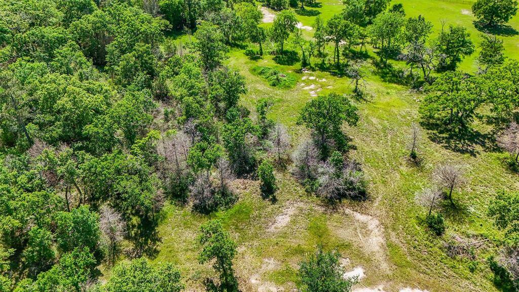 This photo shows a lush, green landscape with a mix of open grassy areas and clusters of mature trees, offering a natural setting perfect for privacy and outdoor activities.