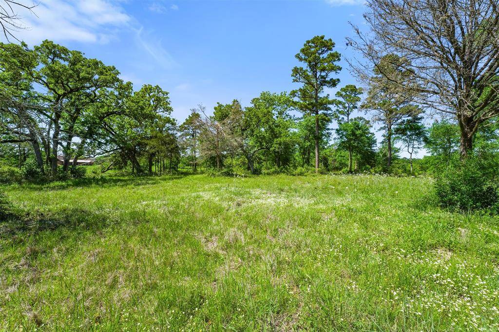 This photo shows a spacious, grassy lot with scattered trees, offering a serene, natural setting perfect for building a home. The clear blue sky adds to the peaceful atmosphere.