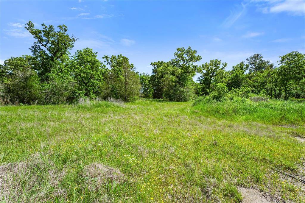 A serene, open grassy lot surrounded by mature trees, perfect for building a secluded home or enjoying nature. Bright blue sky enhances the tranquil setting.