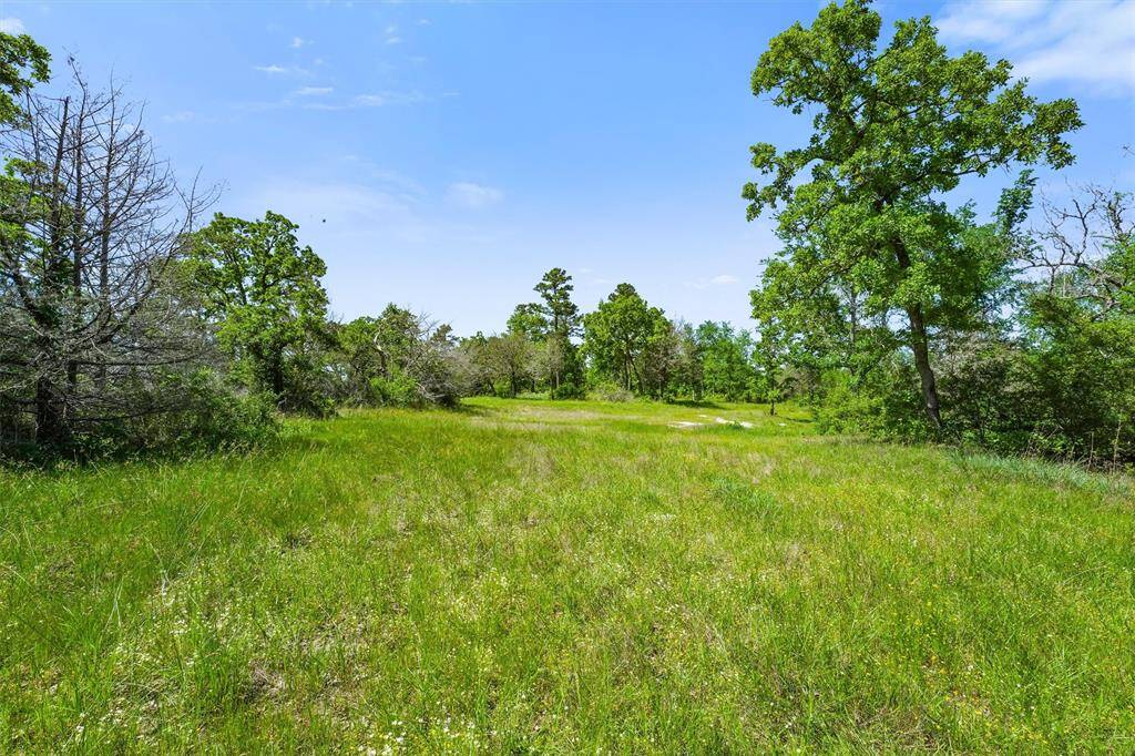 A spacious, open grassy lot with scattered trees, offering a serene natural setting under a clear blue sky. Ideal for building a home with plenty of privacy and lush greenery.