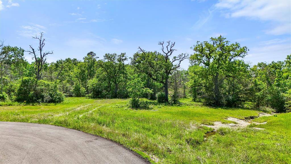 This photo shows a serene, wooded landscape with lush greenery and a clear blue sky. A paved area in the foreground leads to a spacious, grassy field surrounded by mature trees, offering a peaceful and natural setting for a potential home.