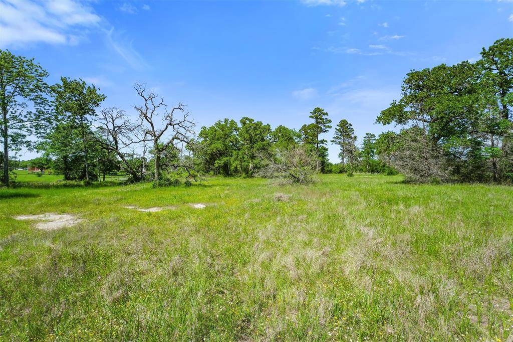 This photo shows a spacious, open plot of land with lush green grass and scattered trees under a clear blue sky, offering space for your private retreat.