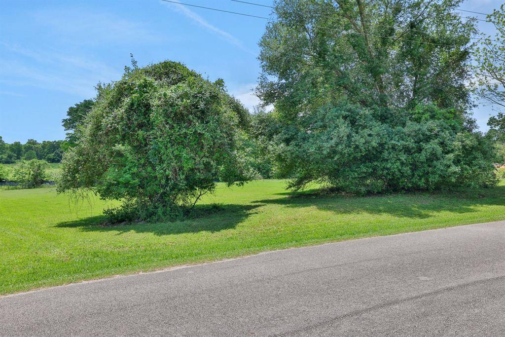 Street view of the lots on Rocky Creek Drive.