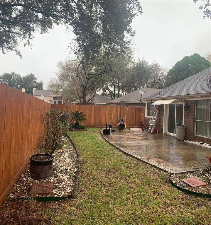 Back yard