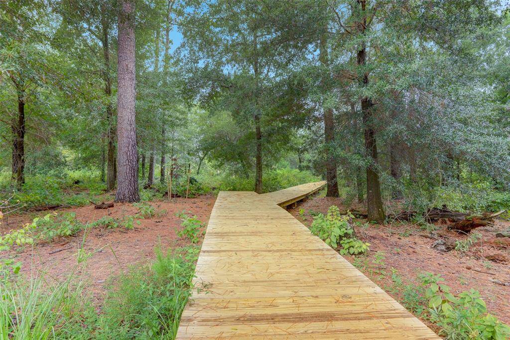 Quiet wooded trails just minutes away (by car or bike)