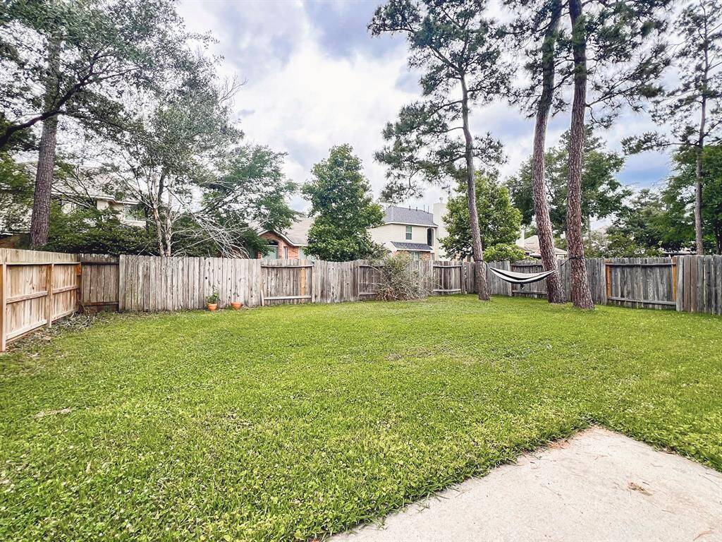 View of the backyard from the back door.