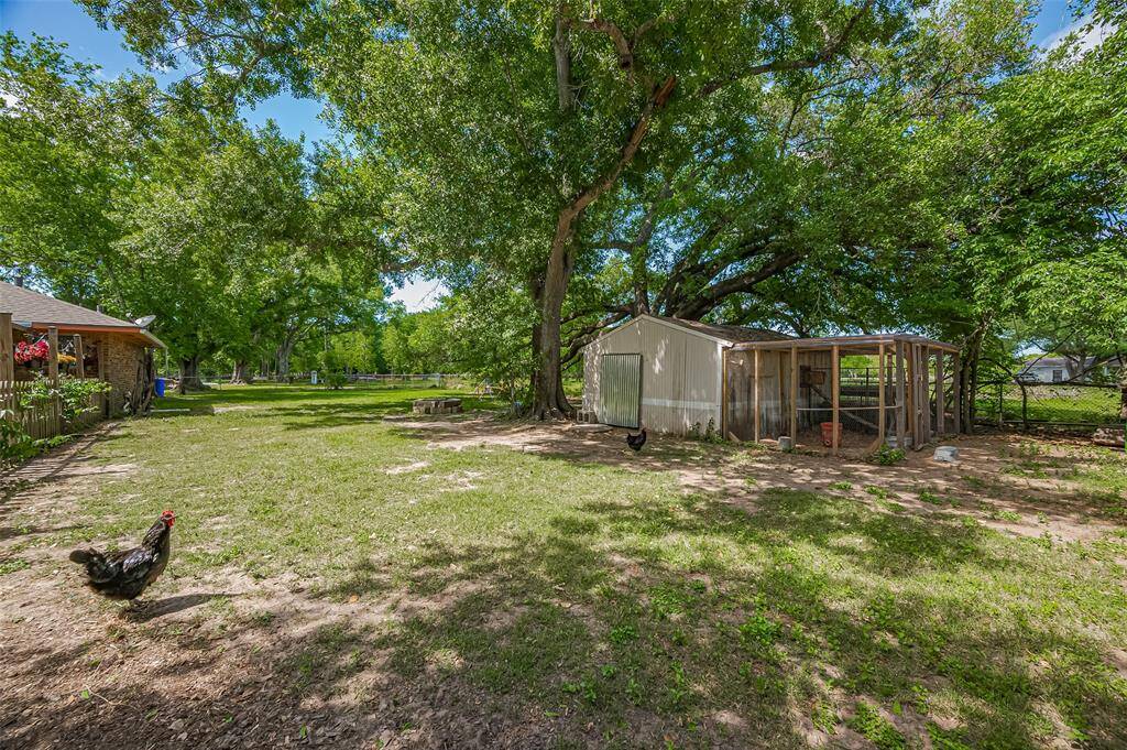 Property Image 43