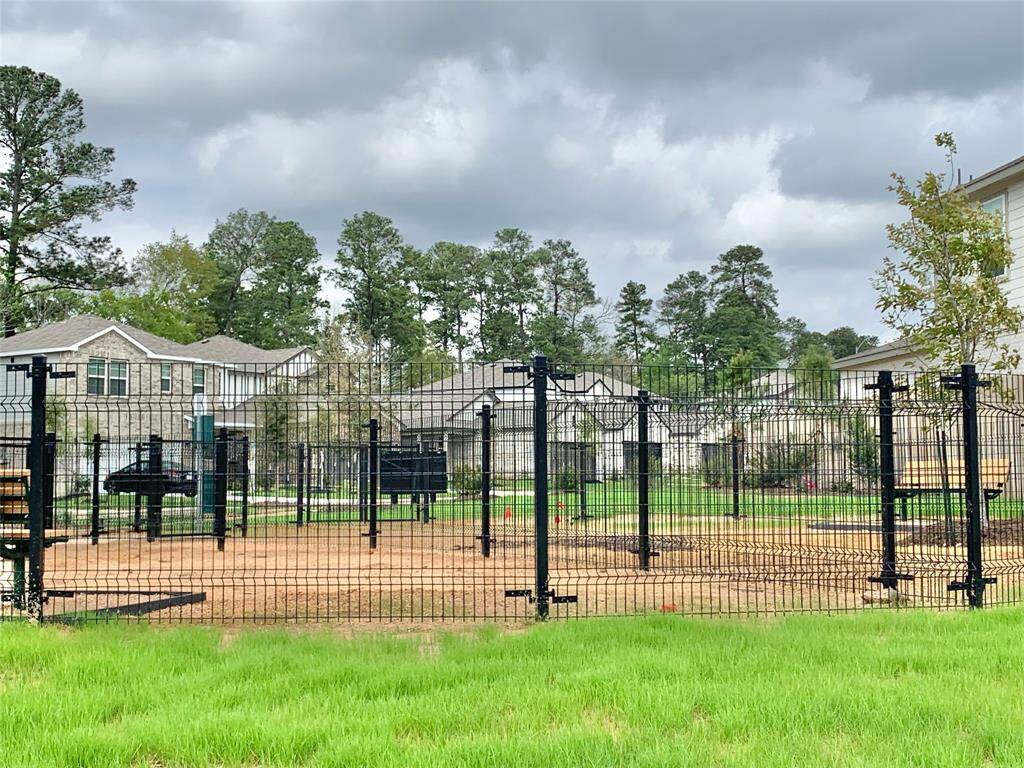 Dog Park