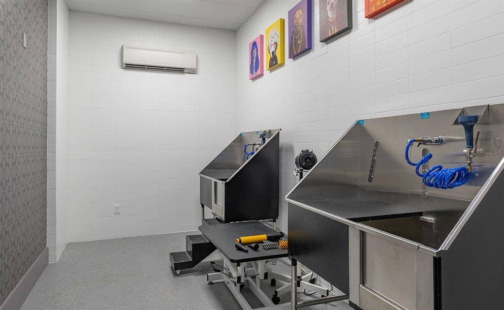 Dog spa - 2 stations and one drying station