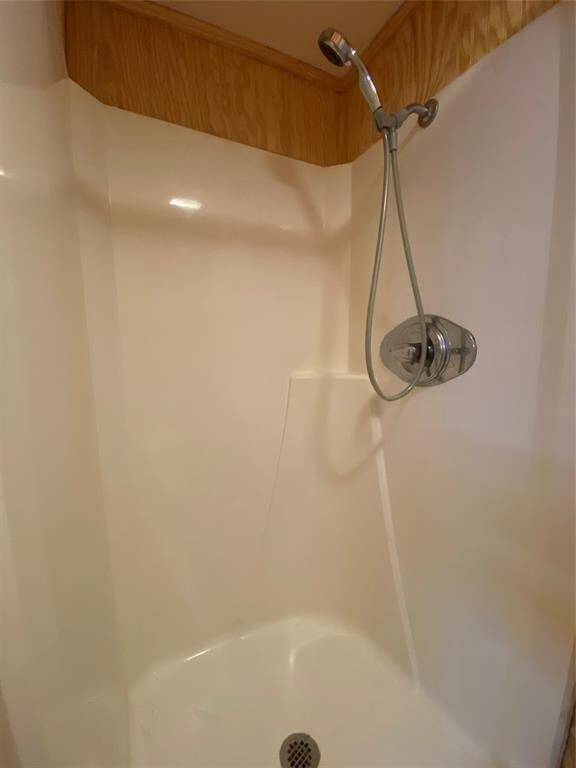 Downstairs bathroom shower