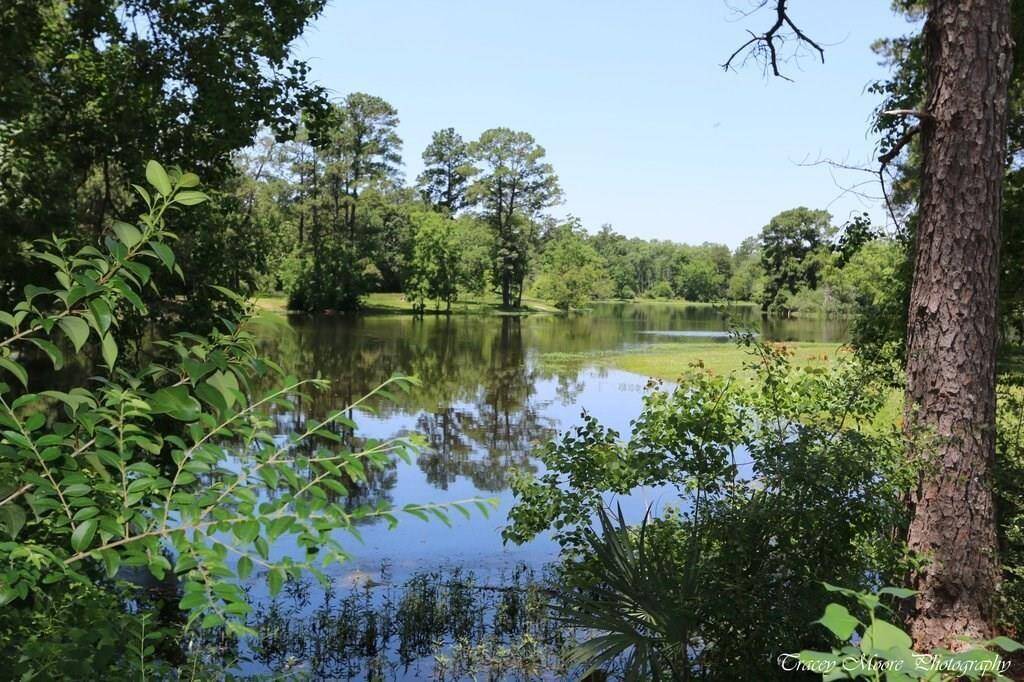 The natural pond between Spring Trails and The Spring Creek Greenway is a great place to catch and release or just enjoy the peaceful setting.