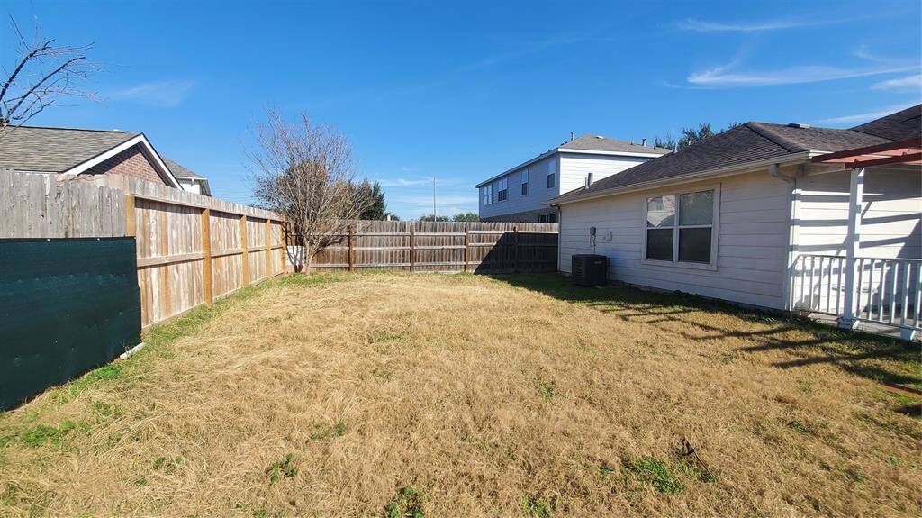 An Other View Of Backyard