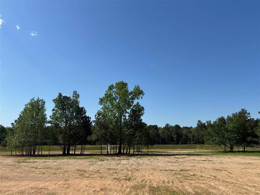Endless design opportunities to build the home of your dreams and enjoy stunning lake views with a backdrop of mature trees.