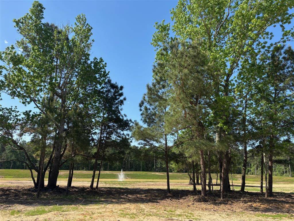 View from close to the center of the lot. A few scattered mature trees provide shade and a canopy to the breathtaking lake views.