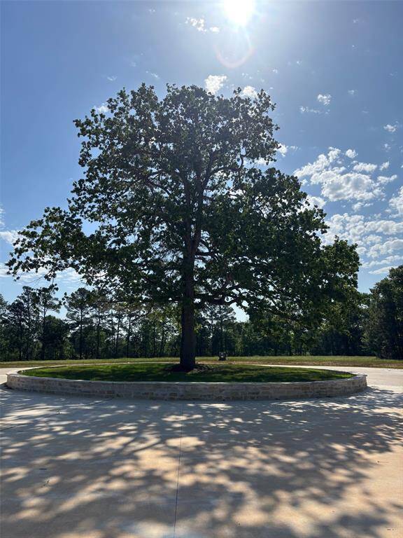 This lot is located on the signature cul-de-sac at Hidden Oak Drive and offers a serene setting in addition to the gated community of only 24 lots, in the heart of Hockley. Concrete roads and dark-sky lighting provide a great place to walk, ride bikes and visit with neighbors.