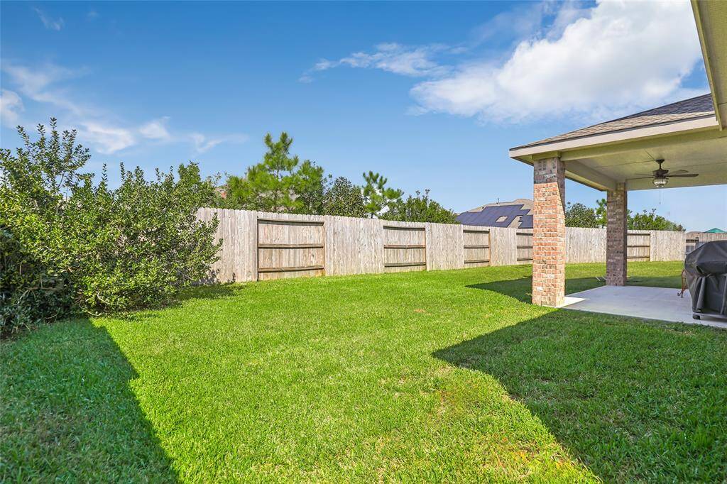 Another view of the backyard
