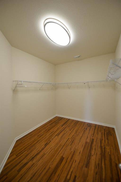 Expansive owner's closet with LED lighting for perfect color visibility.