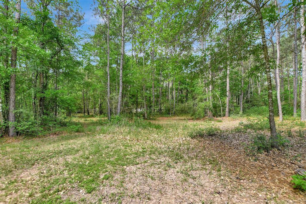 Two acres allows for two horses!