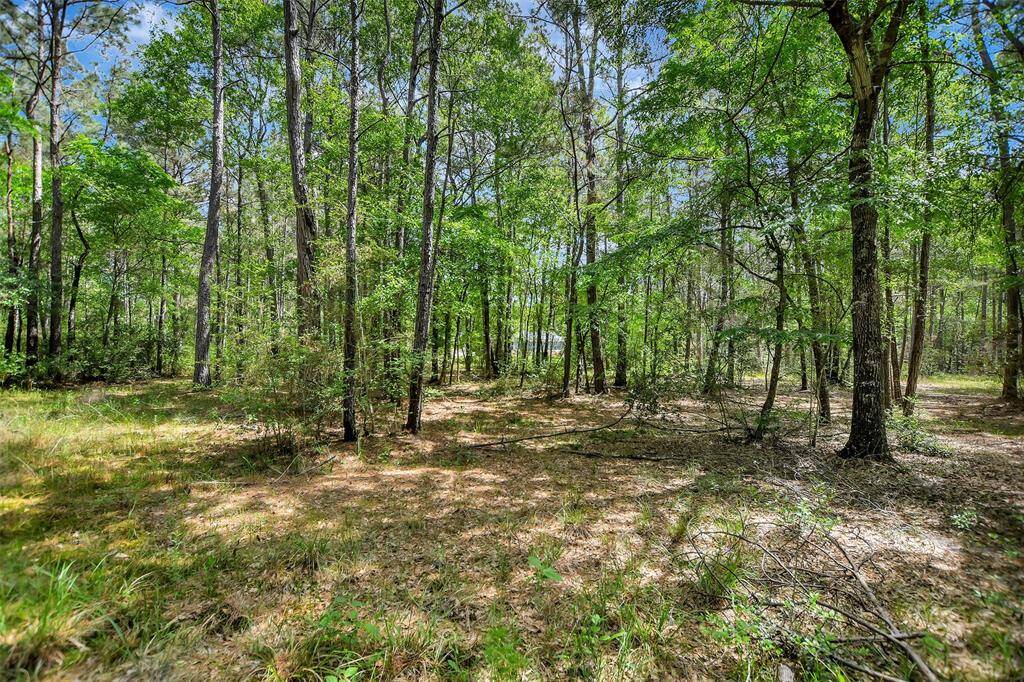 Your private nature walks begin in your own backyard!