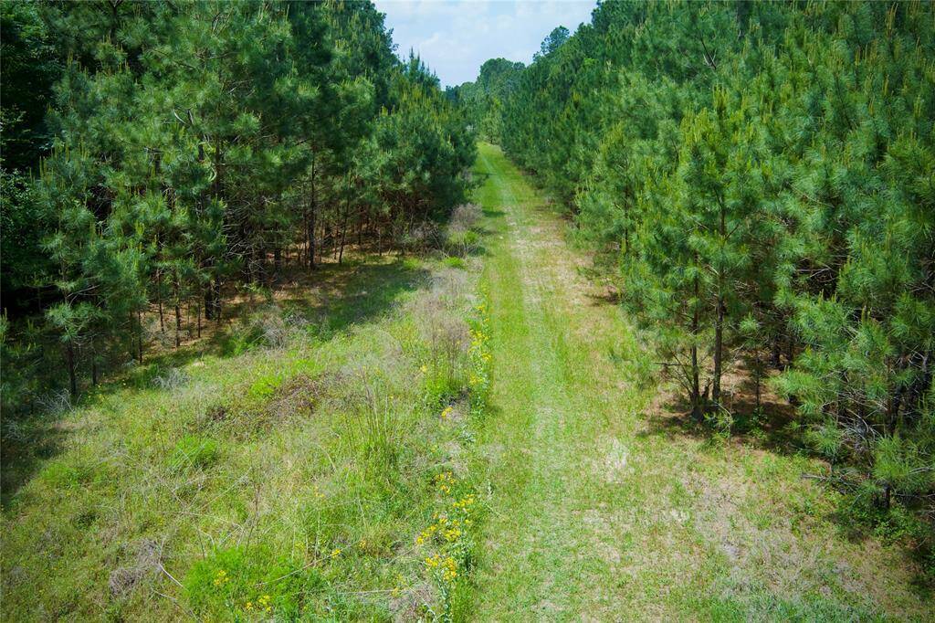Saddle Creek Forest Private Horse Trails, Hiking and Bicycles.  NO motorized vehicles allowed.