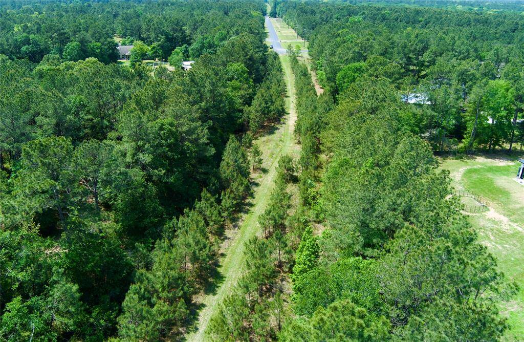 Saddle Creek Forest Private Horse Trails, Hiking and Bicycles.  NO motorized vehicles allowed.
