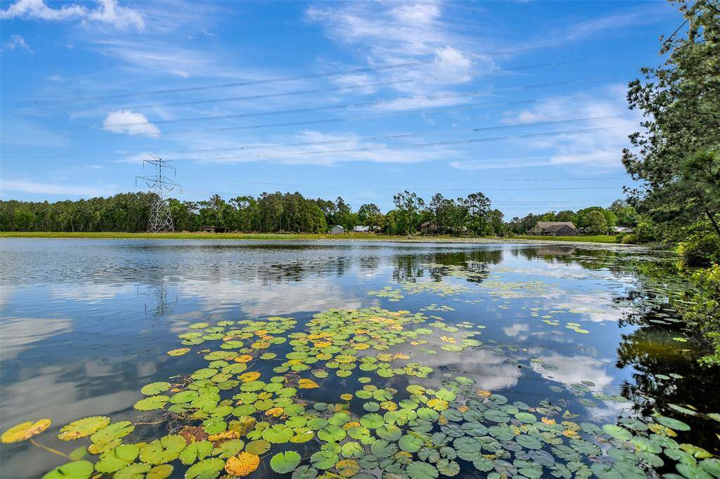 Enjoy catch & release in the Saddle Creek Lakes
