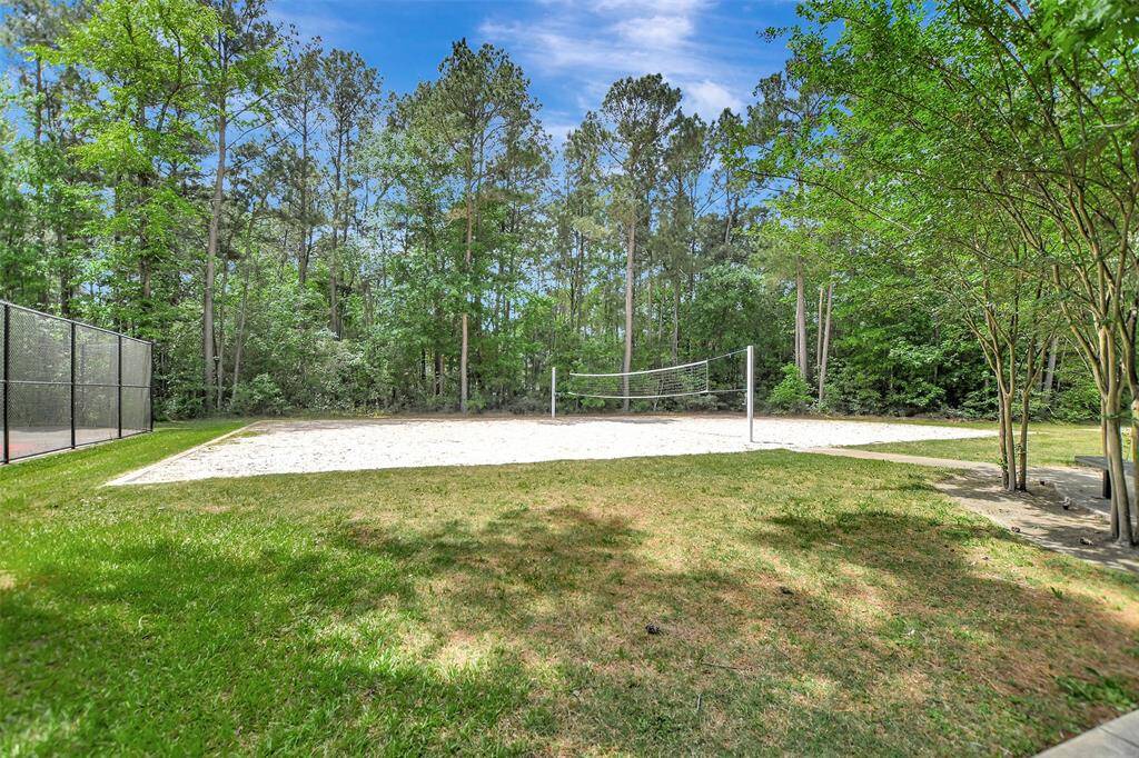 Saddle Creek Forest Volleyball Court