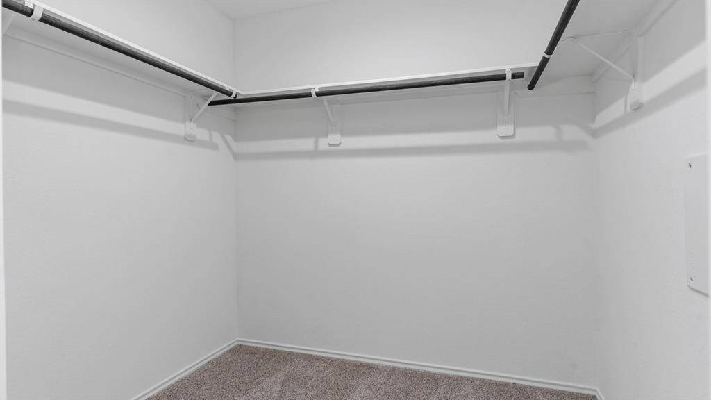*Images and 3D tour are for illustration only and options may vary from home as built.