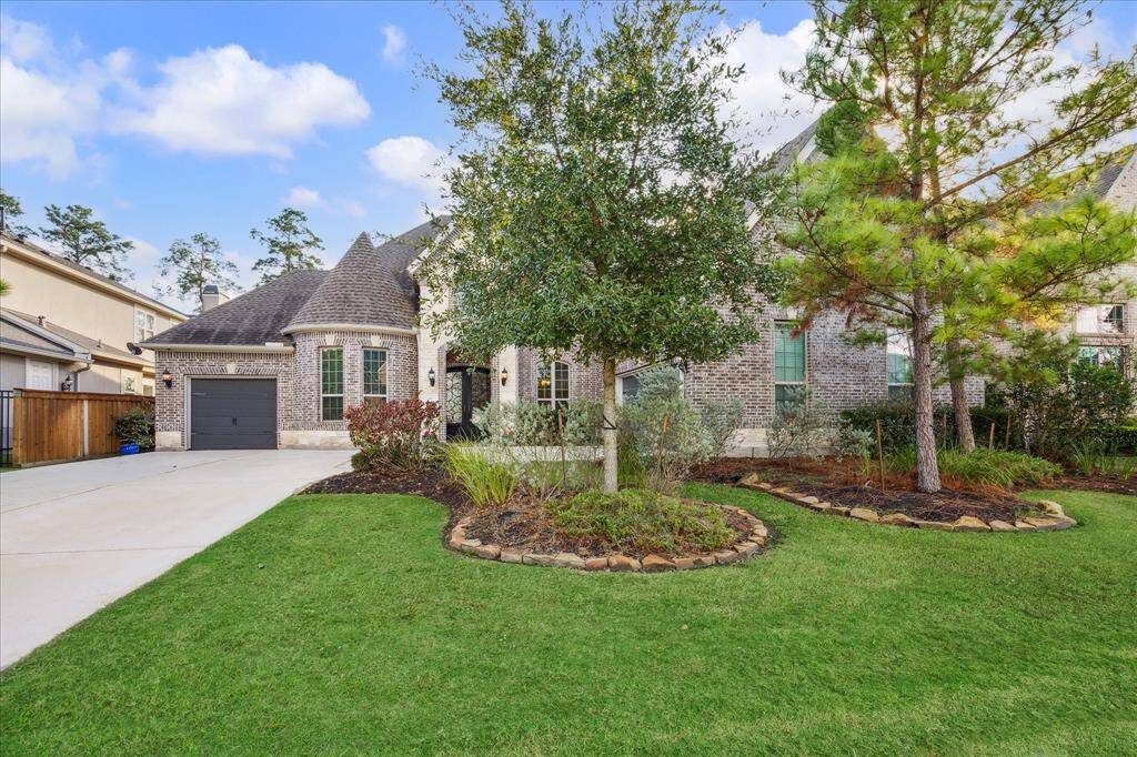 Trees around home for privacy!