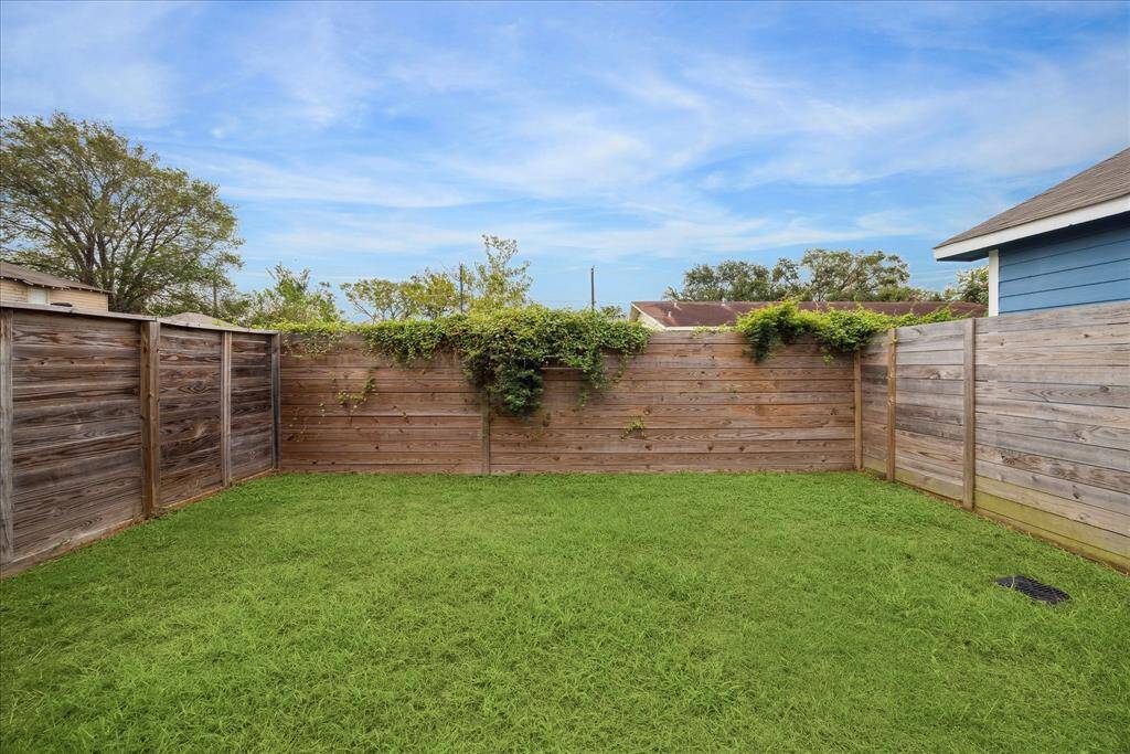 Spacious green backyard with plenty of room.