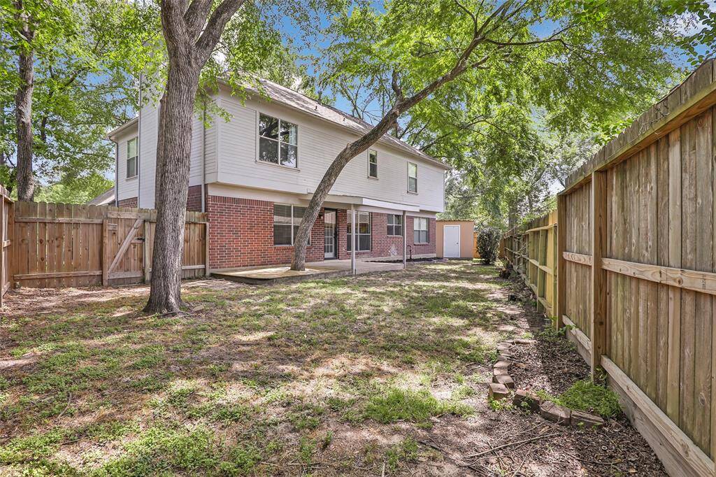 Large Backyard