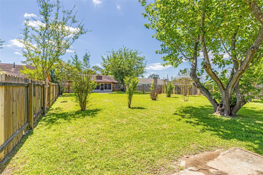 Backyard side view