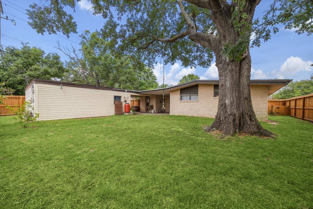 A beautiful shade tree in the fenced backyard.