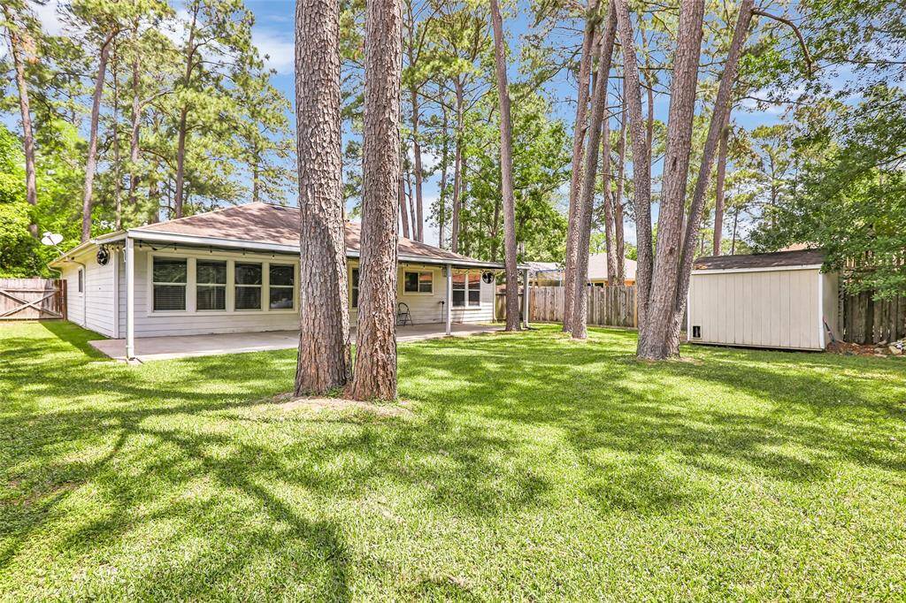 nice sized backyard